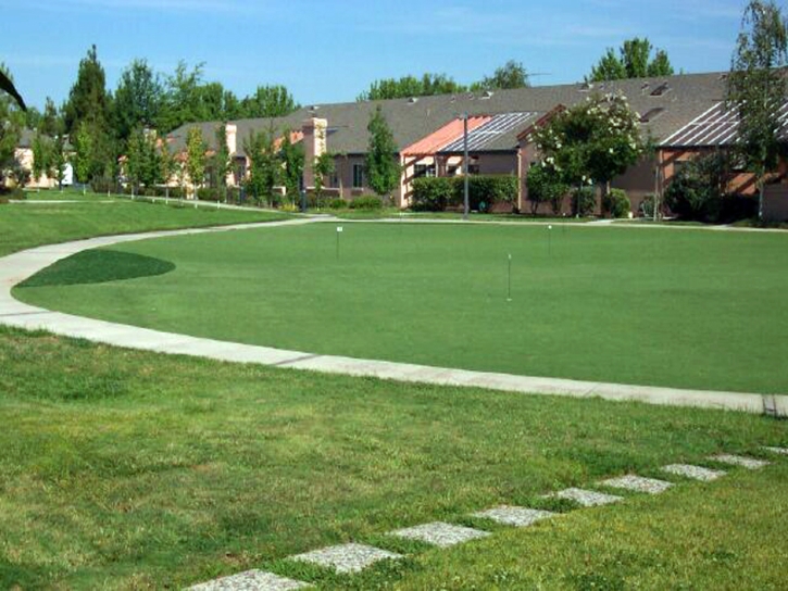 Synthetic Turf Supplier Raleigh, Florida Indoor Putting Greens, Commercial Landscape