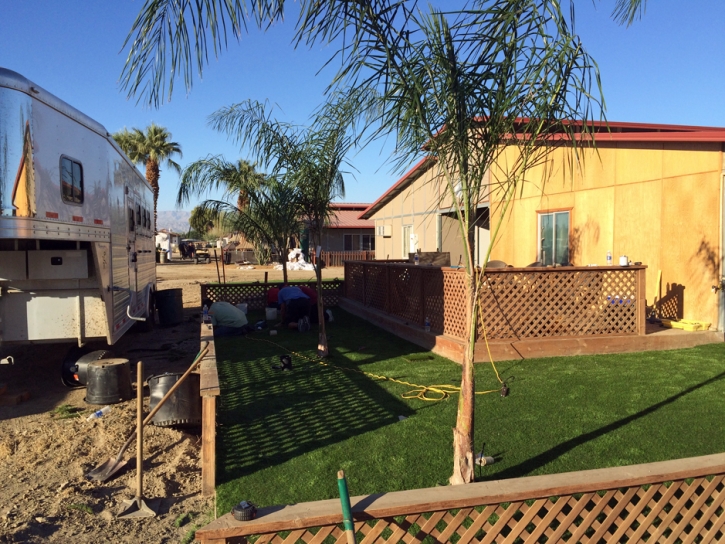 Synthetic Turf Supplier Tangelo Park, Florida Rooftop, Backyards