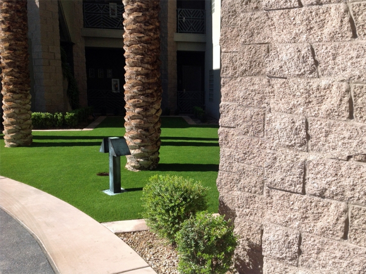 Synthetic Turf Supplier Umatilla, Florida City Landscape, Commercial Landscape