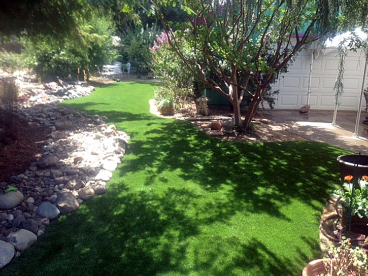 Synthetic Turf Wedgefield, Florida Landscaping Business, Backyard Design