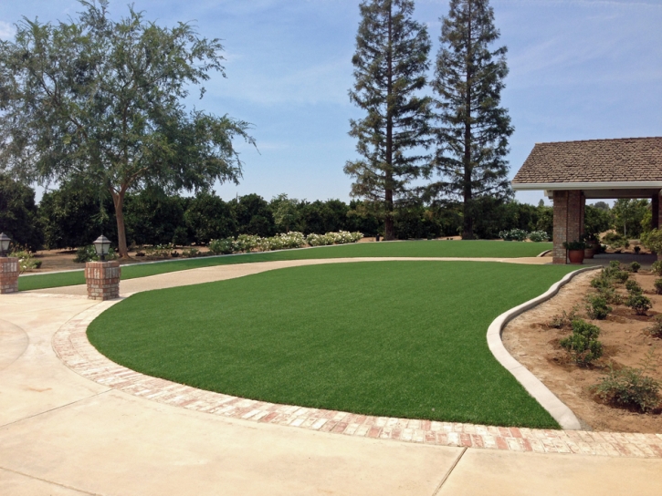 Turf Grass Archer, Florida Garden Ideas, Front Yard Landscaping