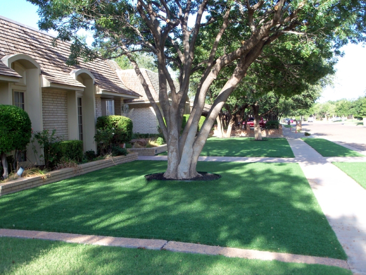 Turf Grass Azalea Park, Florida Backyard Deck Ideas, Front Yard Design