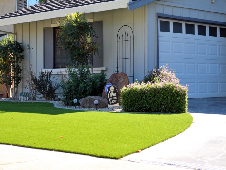 Turf Grass Citrus Springs, Florida Design Ideas, Front Yard Design