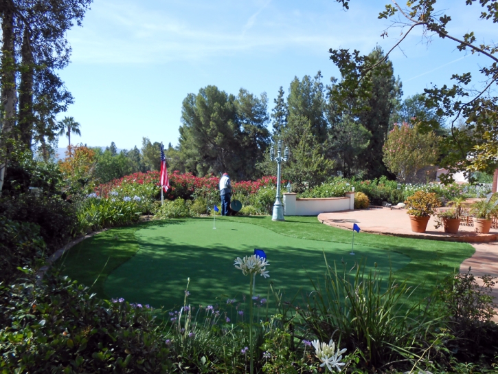 Turf Grass Hastings, Florida Design Ideas, Beautiful Backyards