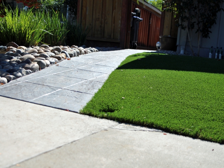 Turf Grass Inverness Highlands North, Florida Landscaping, Front Yard Ideas