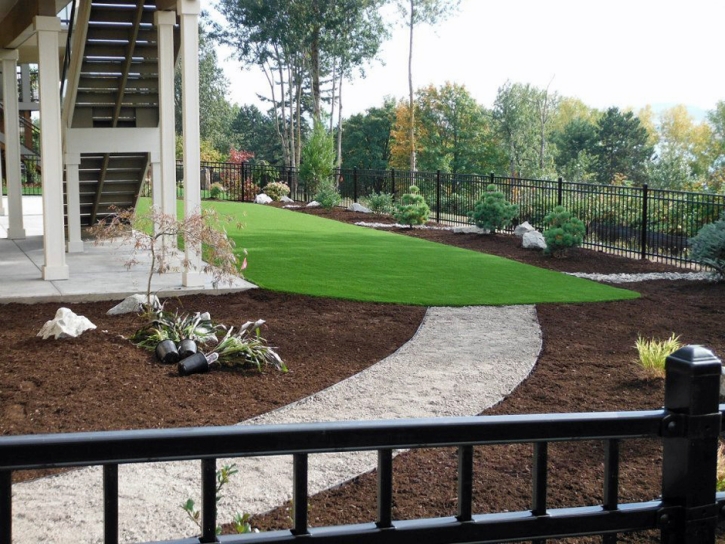 Turf Grass Micanopy, Florida Roof Top, Backyard Garden Ideas