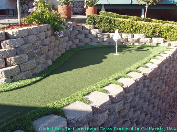 Turf Grass Nassau Village-Ratliff, Florida Diy Putting Green, Backyard Landscaping