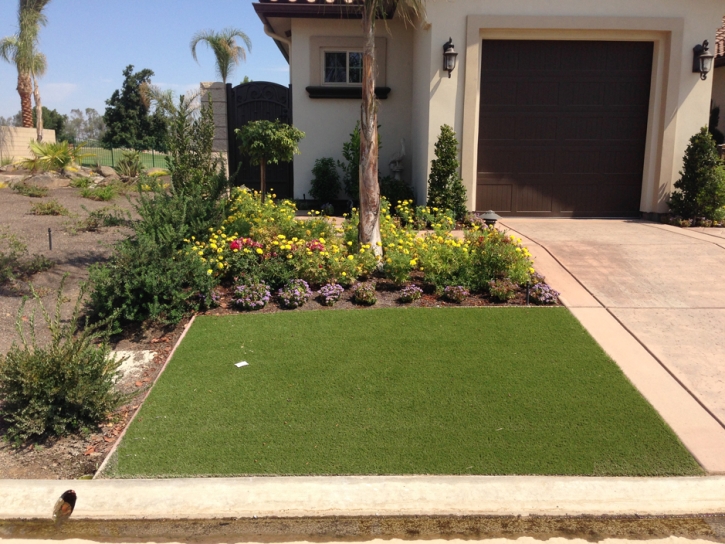 Turf Grass Orange Park, Florida Lawns, Front Yard Landscaping