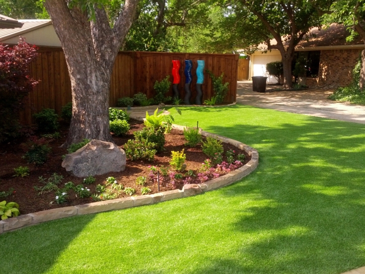 Turf Grass Southchase, Florida Landscape Design, Small Backyard Ideas