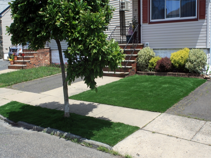 Turf Grass Zephyrhills North, Florida Gardeners, Landscaping Ideas For Front Yard